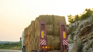 Truck transporting agricultural biomass bales for a project supply chain.