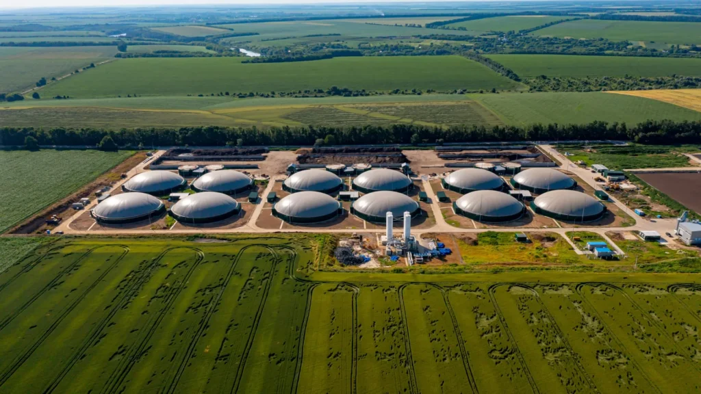 Biogas plant infrastructure representing manure and organic-waste gas conversion.