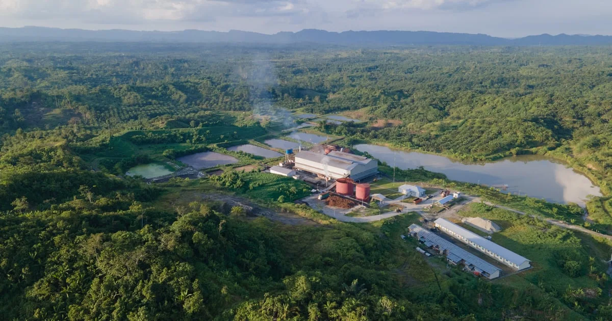 Palm oil mill and industrial infrastructure representing biodiesel feedstock logistics.