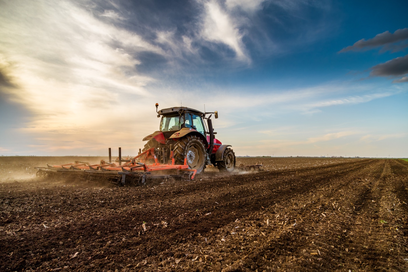Tractor preparing field access and operating corridors for biomass crop establishment