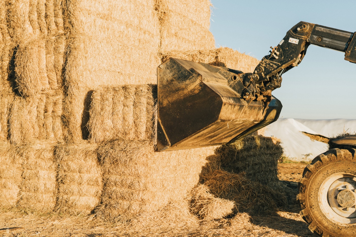Loader handling baled biomass during field logistics