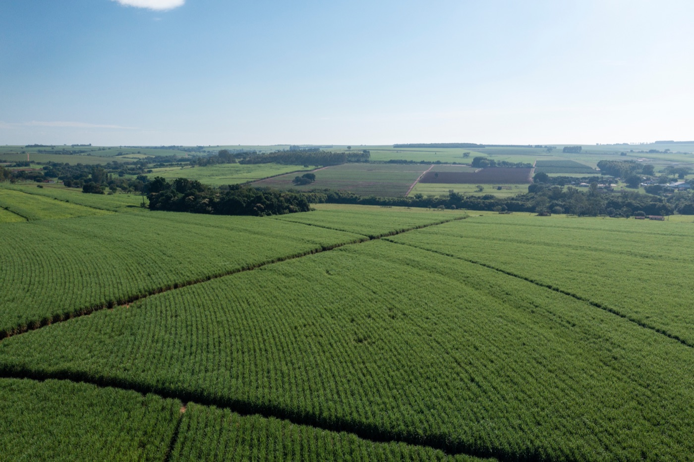 Aerial commercial biomass crop landscape used for production-system planning