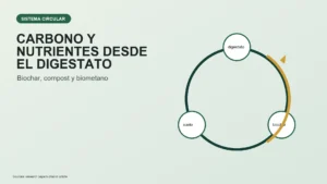 Diagrama editorial circular de digestato, biochar y suelo.