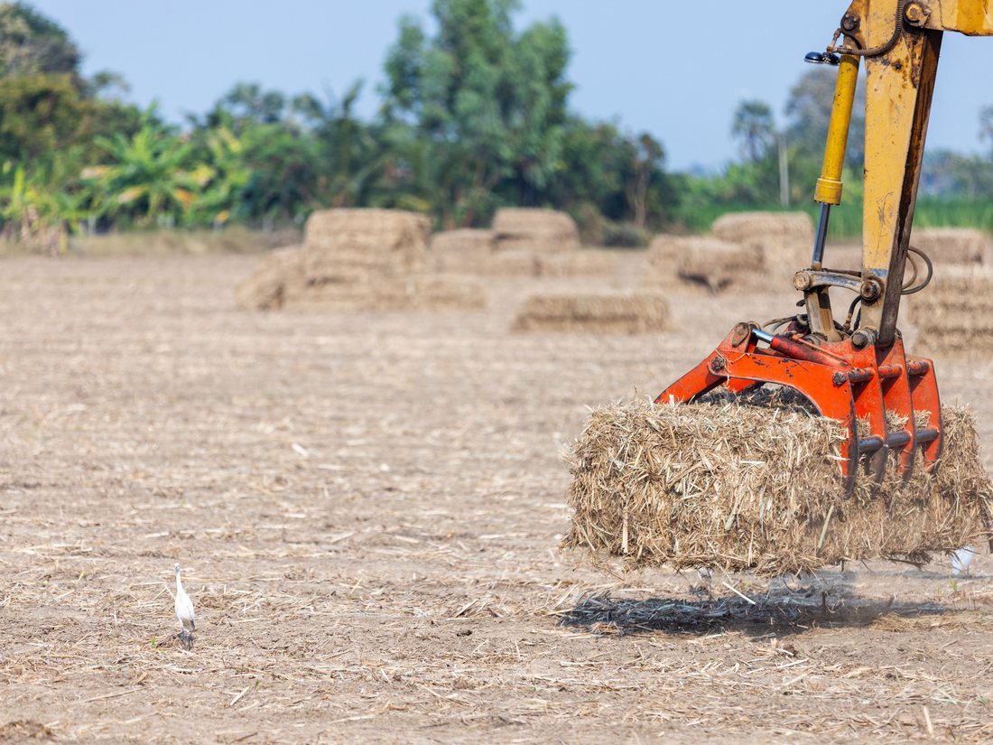 Square biomass bales being loaded for transport from the field