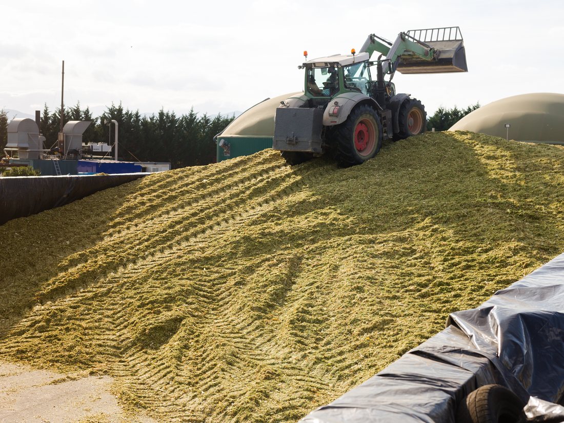 Silage feedstock stored for biomethane and biogas supply