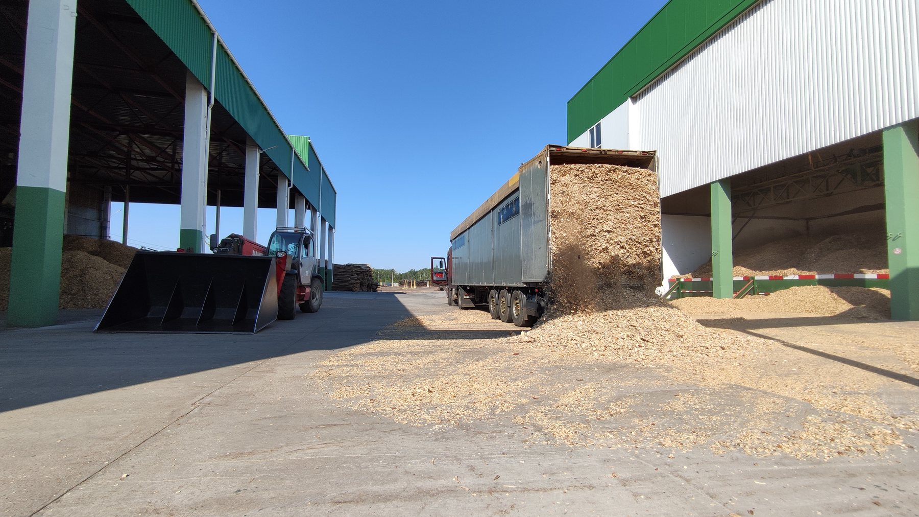 Biomasa leñosa para suministro industrial