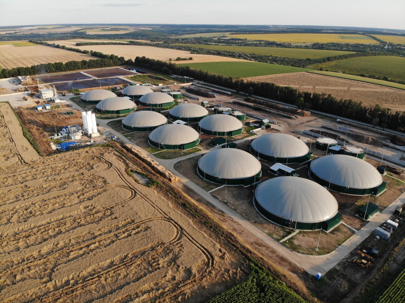 Renewable biomass facility for carbon routes
