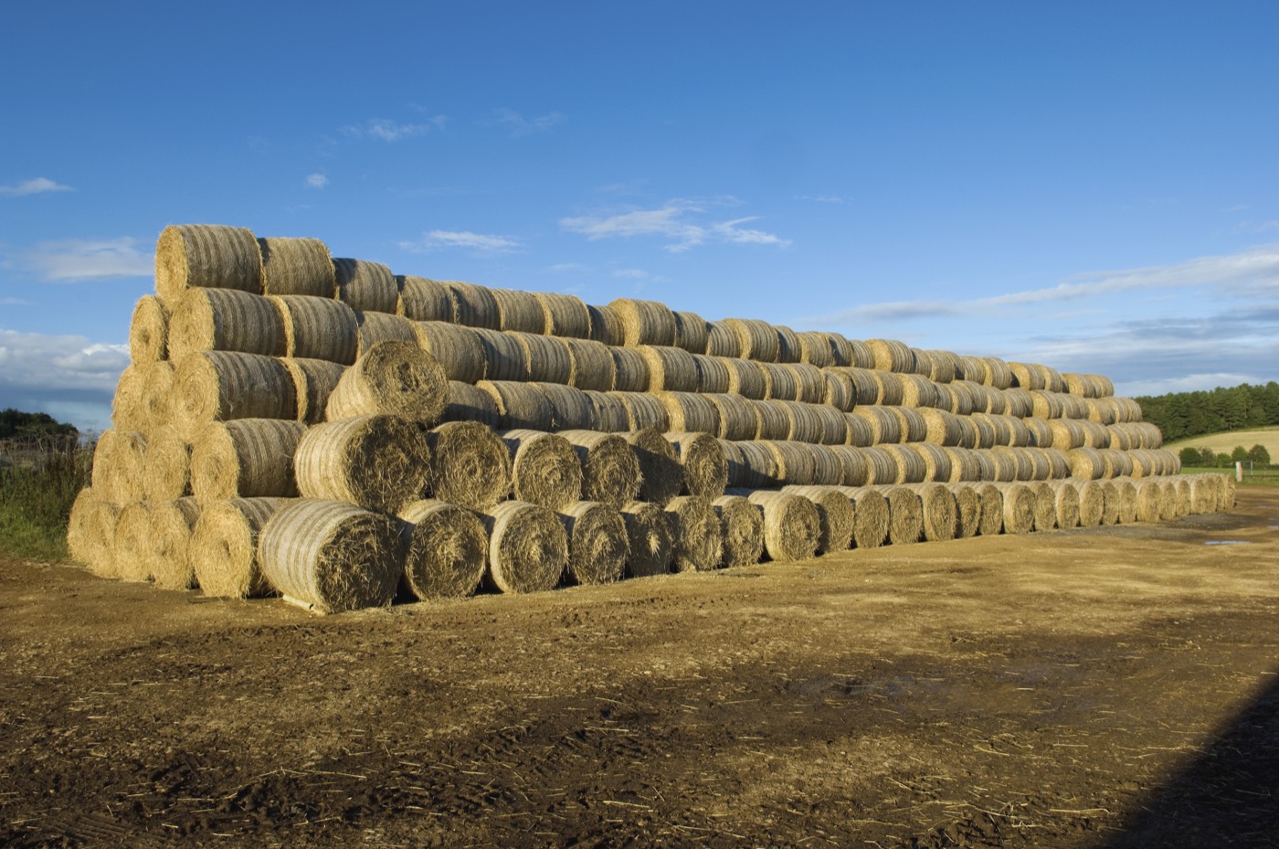 Round biomass bales for industrial heat