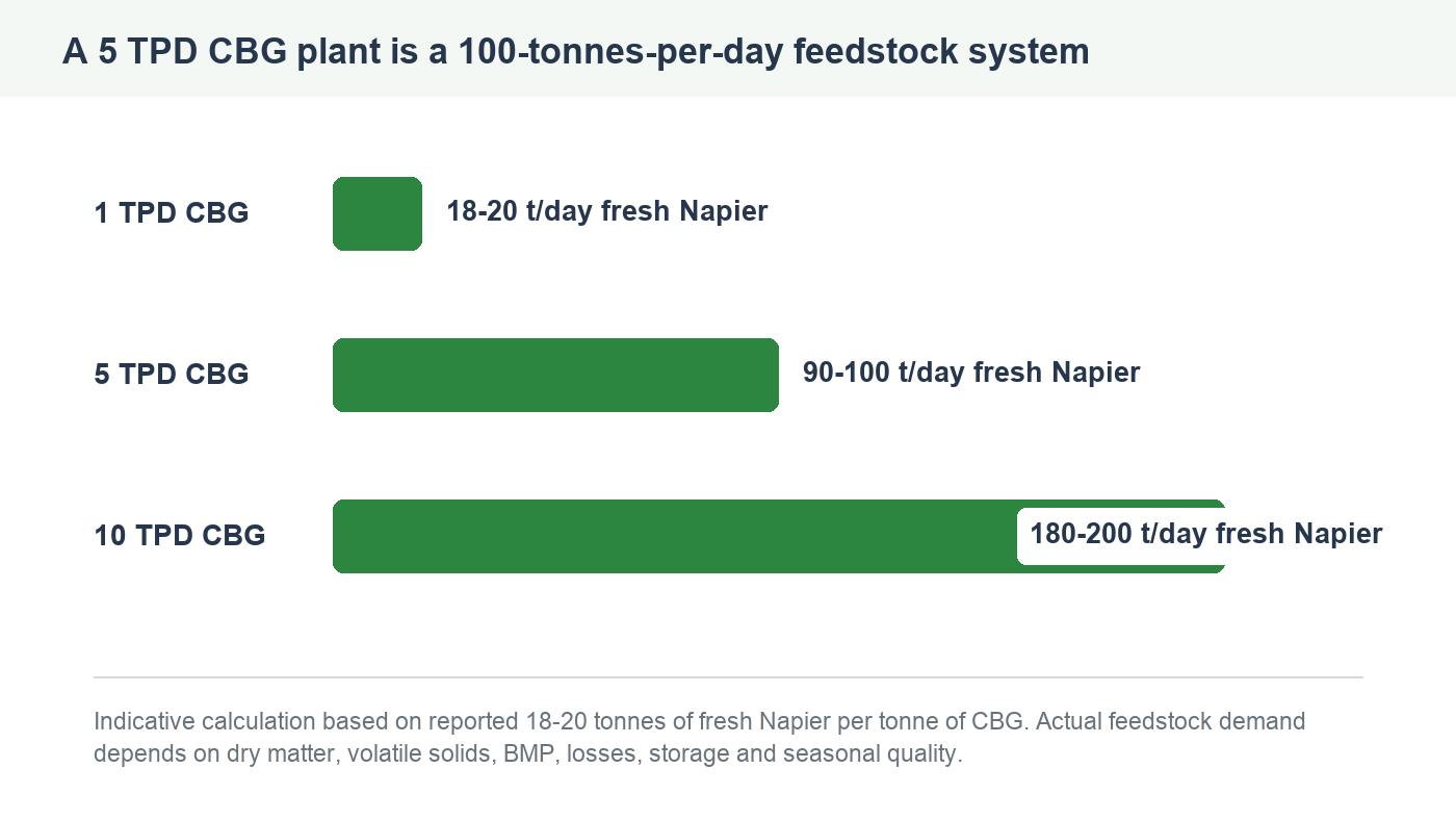 Bar chart showing daily fresh Napier requirements for 1, 5 and 10 TPD CBG plants