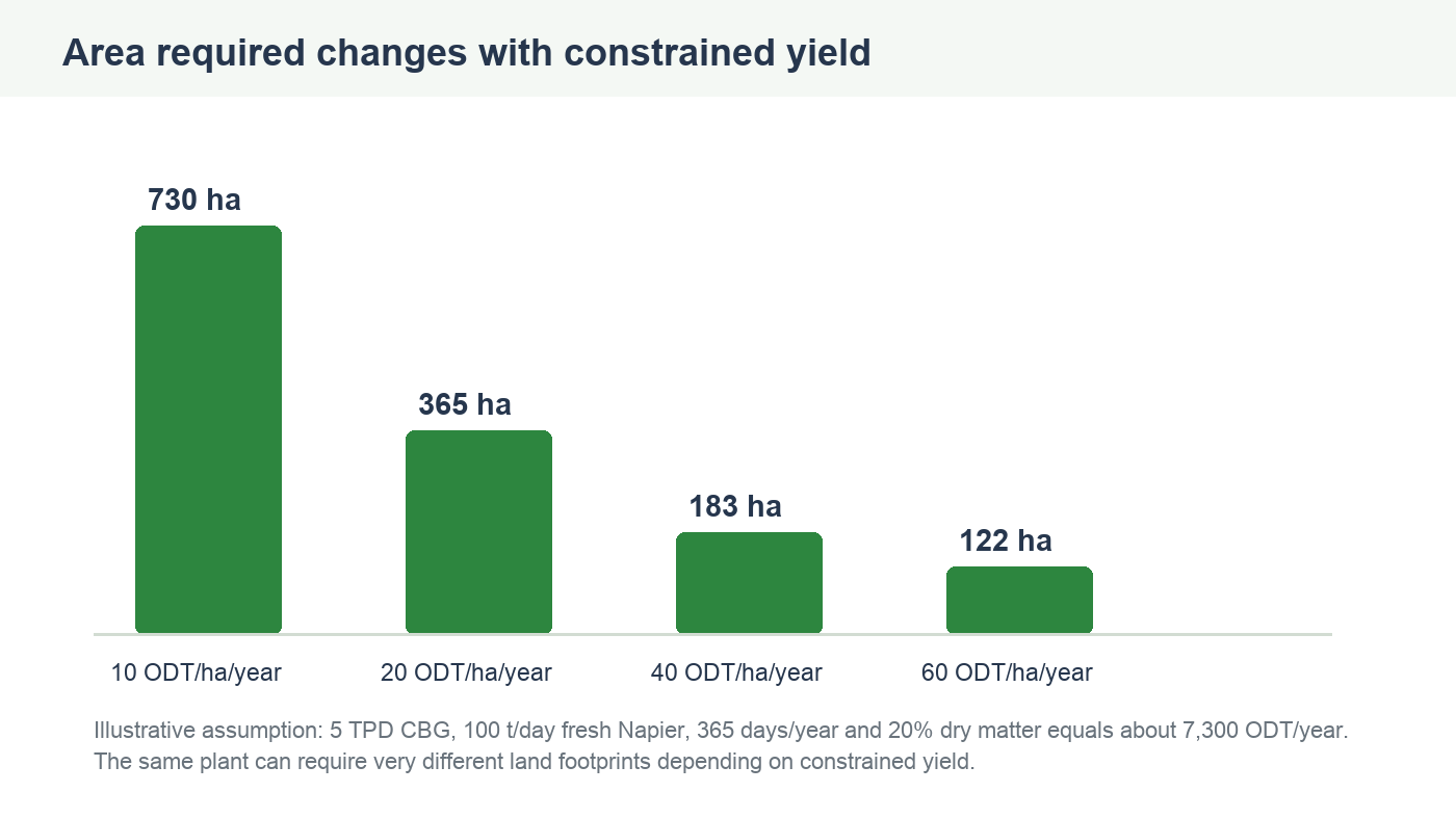 Bar chart showing how hectares required change with constrained Napier dry matter yield