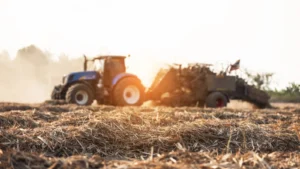 Materias primas agrícolas y biomasa para la producción mundial de biocombustibles