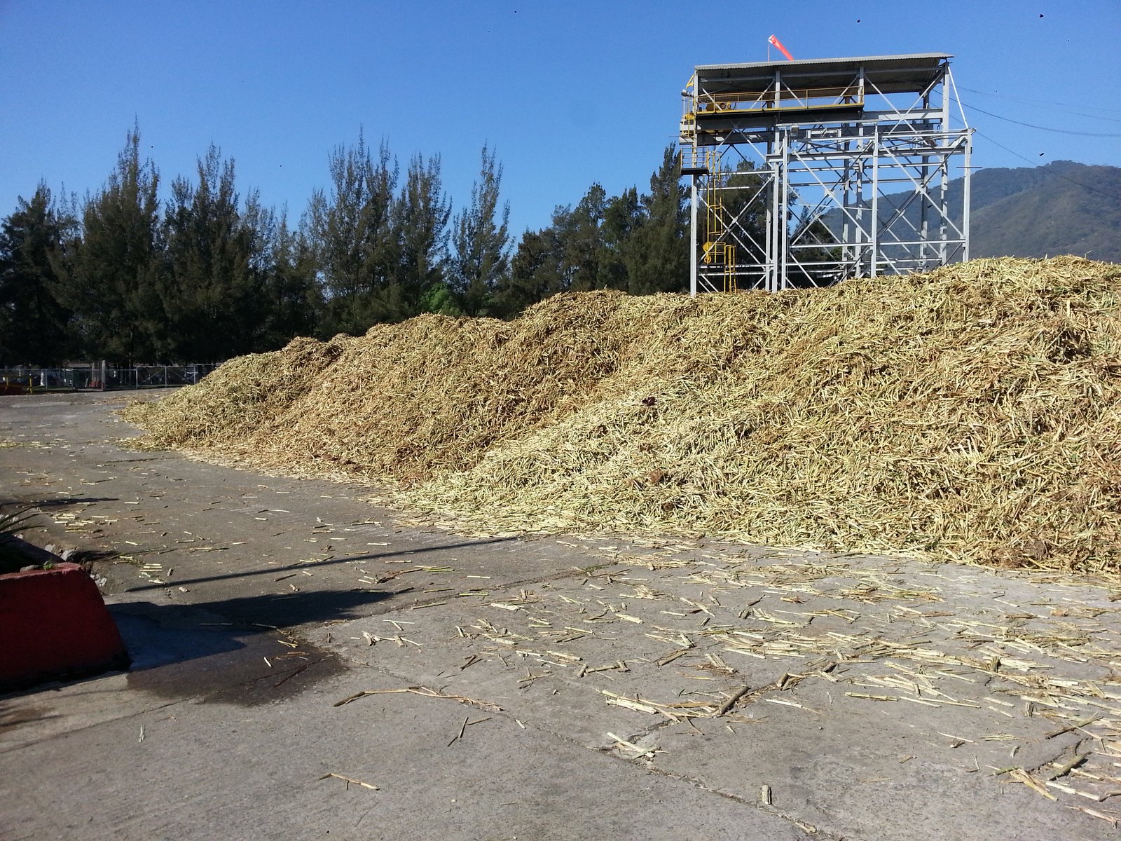 Harvested cane-type biomass piled at an industrial yard in Veracruz Mexico