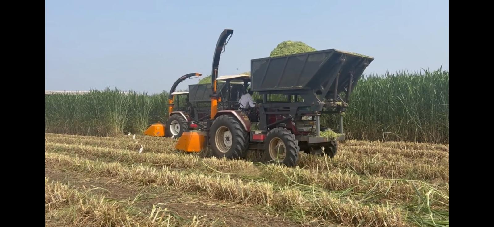 Mechanised harvesting and collection of standing grass