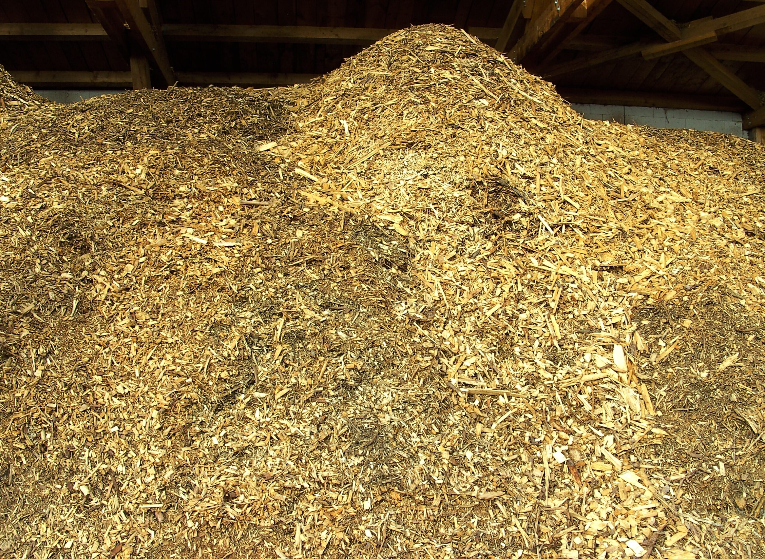 Wood-chip storage at a separate site, photographed in 2010; fuel reference for the planned HoSt biomass heating plant in Chemnitz, Germany.