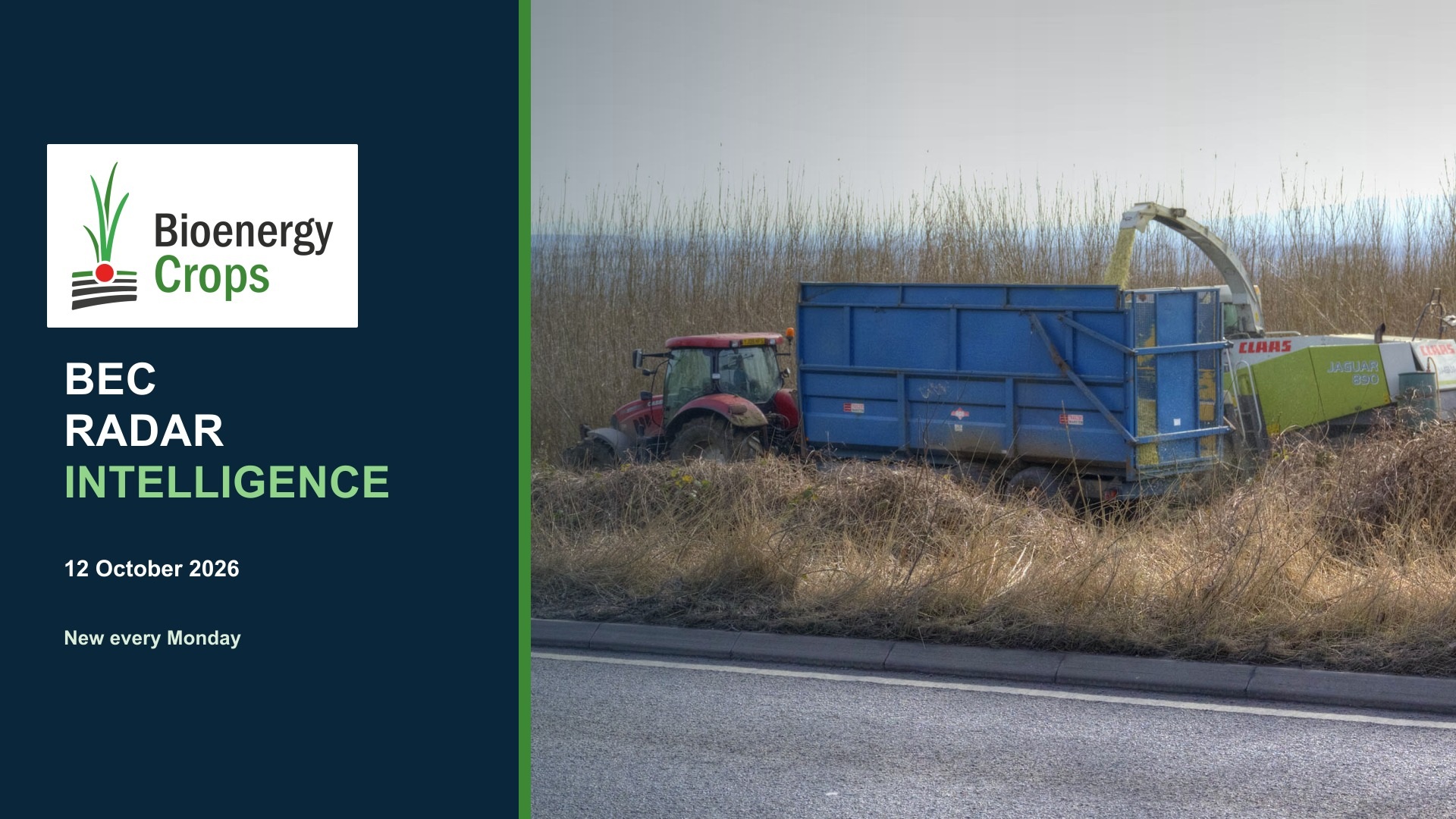 Harvesting woody biomass in England, United Kingdom, February 2013.