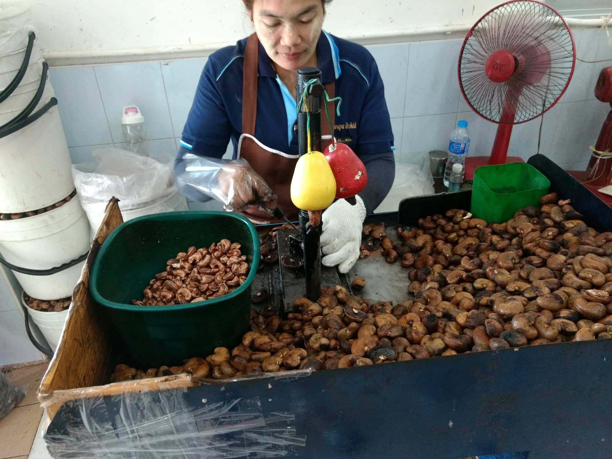 Cashew shelling in Phuket, Thailand, in December 2017. The shell left after kernel extraction is the feedstock targeted by Valency’s industrial programme in Côte d’Ivoire.