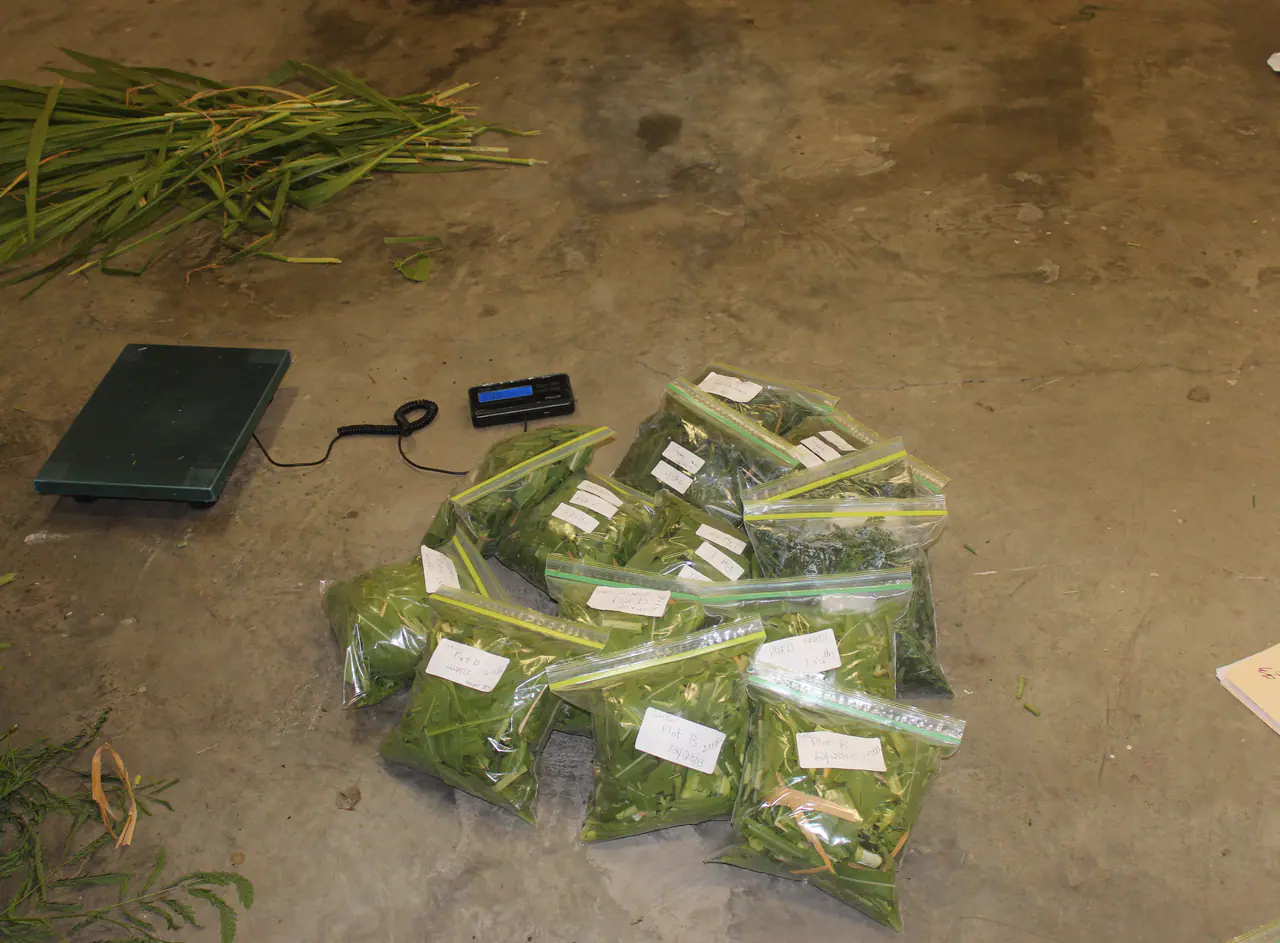 Labelled biomass samples and field scales used in a feedstock quality programme