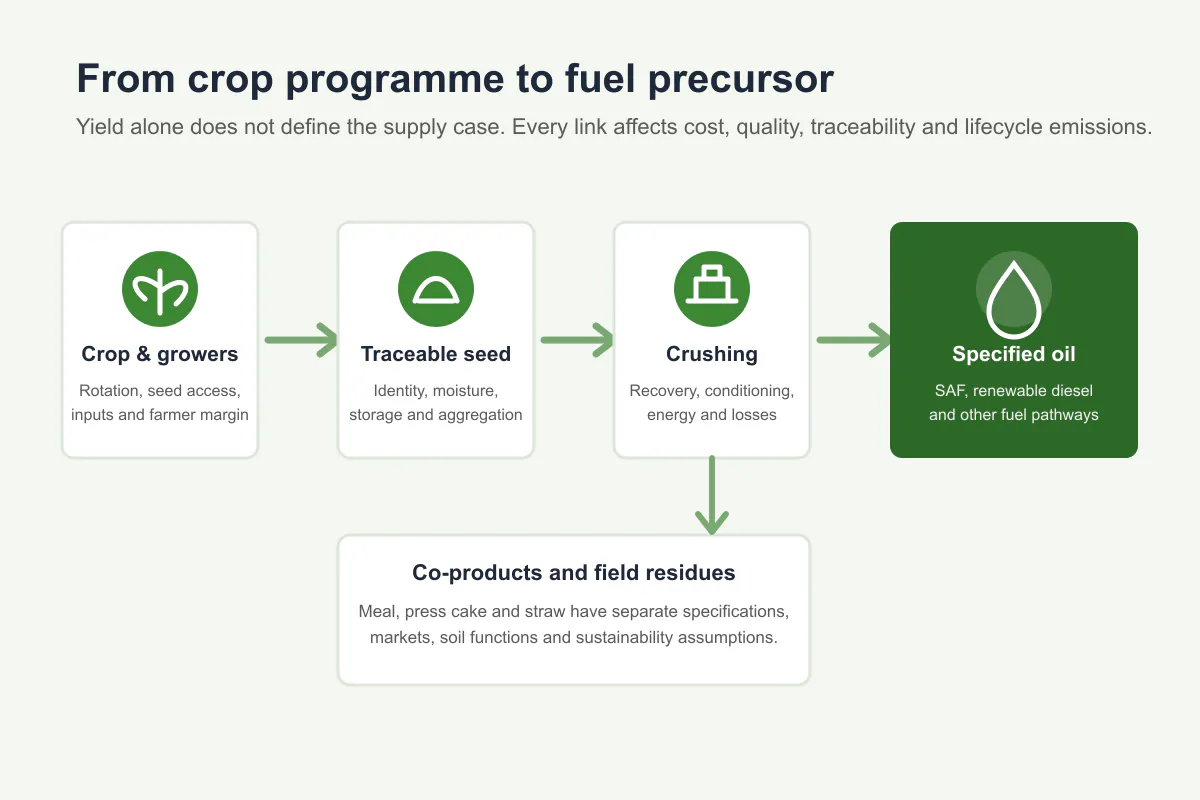 BEC diagram connecting oil crops, traceable seed, crushing, oil specifications and fuel markets