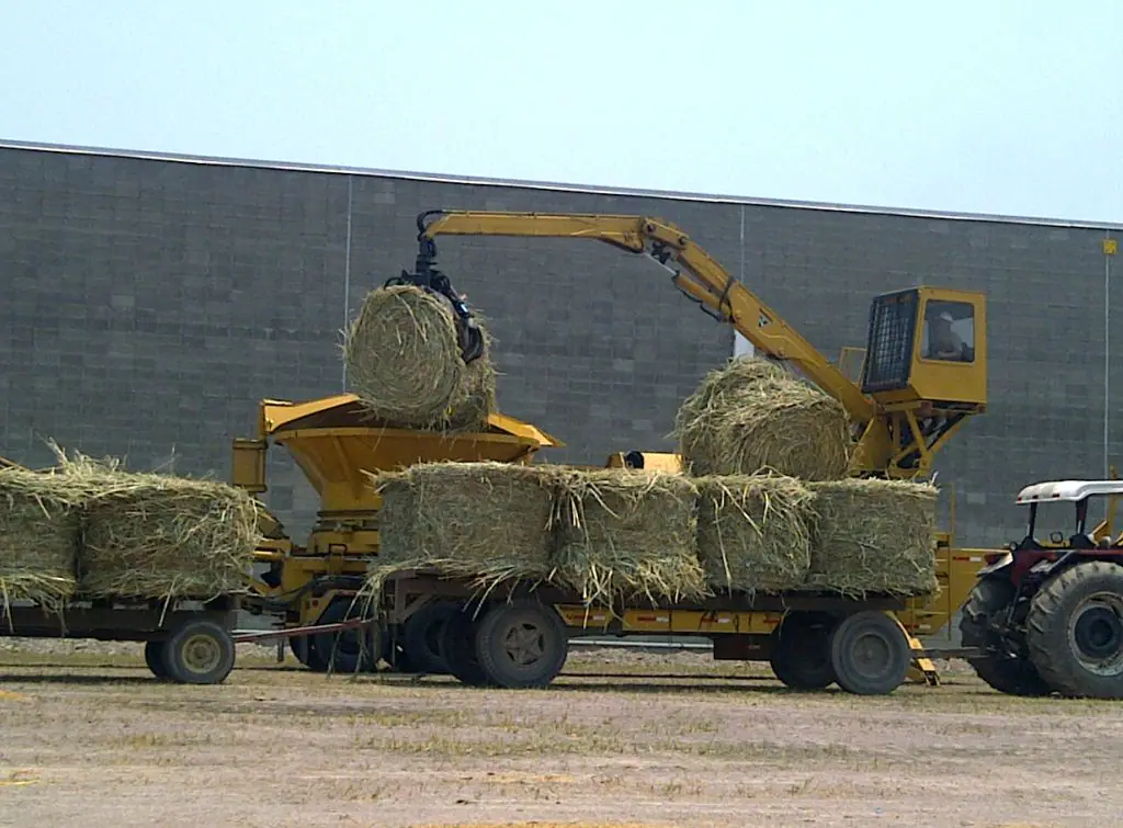 Industrial handling of baled perennial grass biomass