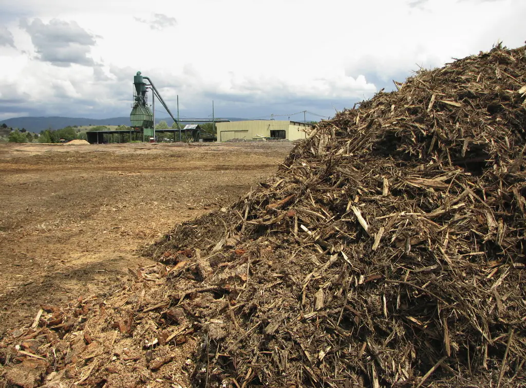 Forestry and sawmill residue stockpile beside processing equipment