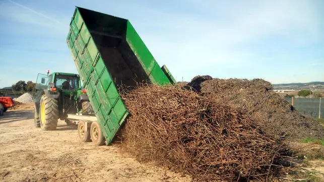 Vineyard and orchard prunings collected and handled at scale