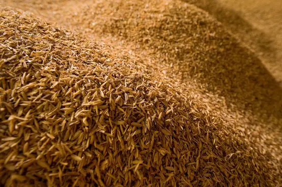 Rice husks accumulated as a concentrated processing residue