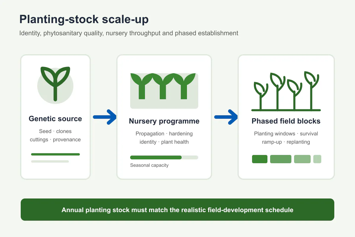 BEC schematic of genetic source, nursery capacity and phased woody-crop establishment