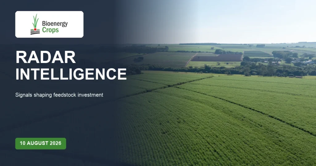 Bioenergy Crops Radar Intelligence: signals shaping feedstock investment, 10 August 2026