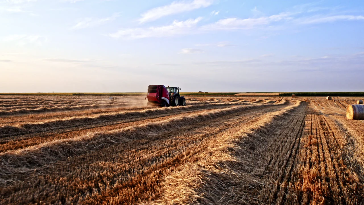 Real baling operation recovering agricultural residues from a harvested field