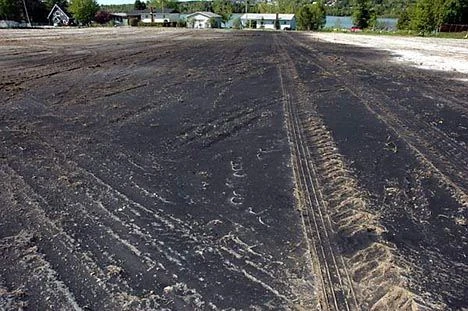 Biochar spread across an agricultural field before soil incorporation