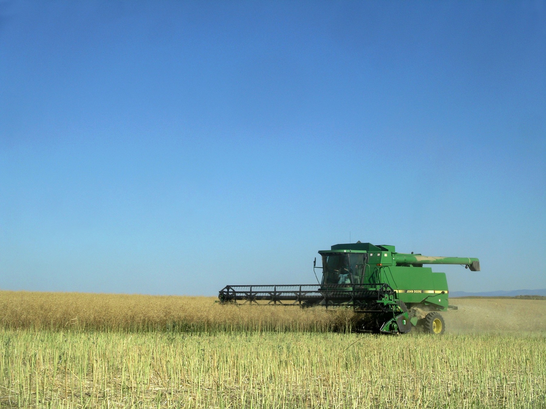 Winter canola harvest in Washington State. Crop context; this is not a Newgold plot.