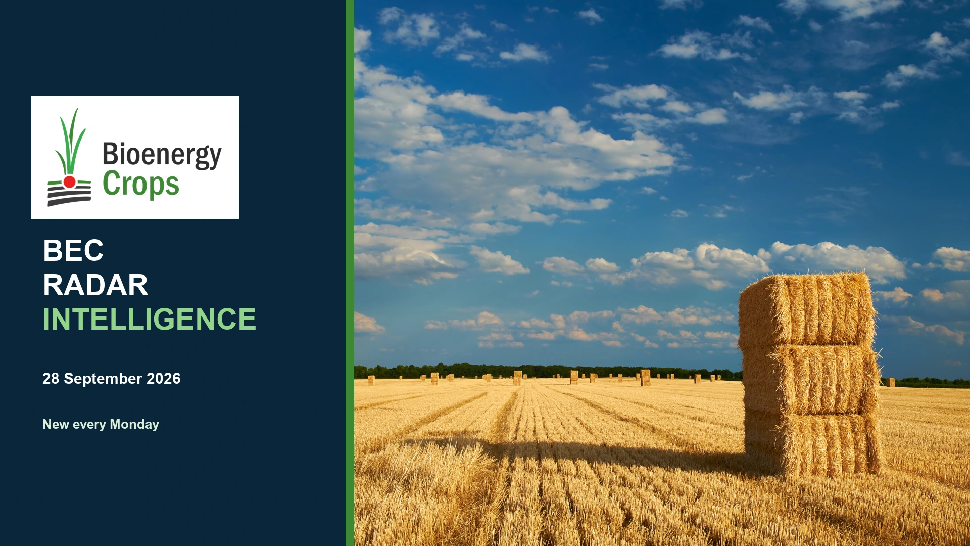 BEC Radar Intelligence, 28 September 2026. Agricultural straw bales.