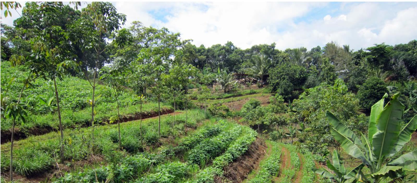 Integrated tropical valley and off-grid development — Samaná, Dominican Republic