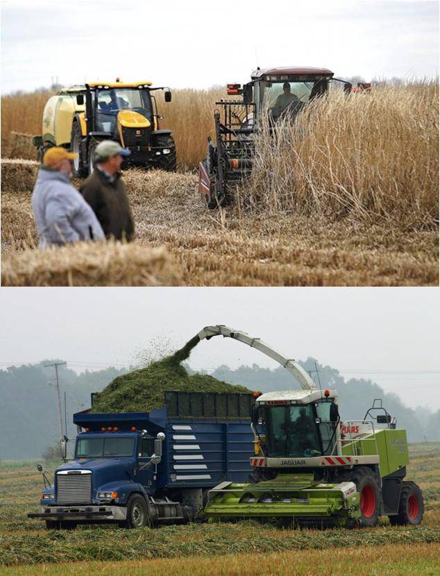 Mechanised biomass harvesting and logistics