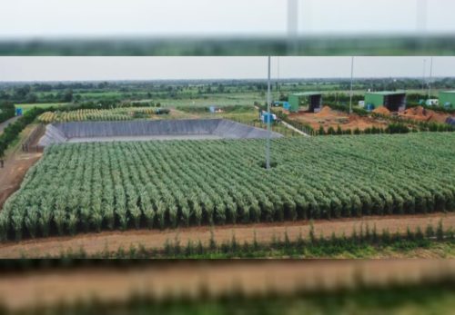 Agricultural field and CBG project site in Andhra Pradesh